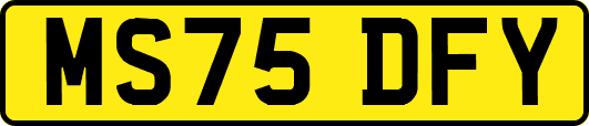 MS75DFY
