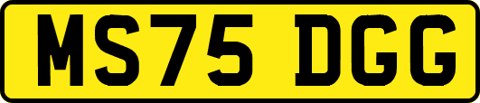 MS75DGG