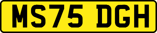 MS75DGH