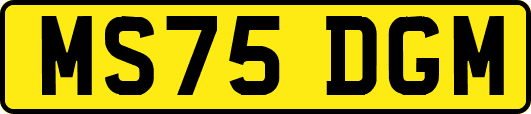 MS75DGM