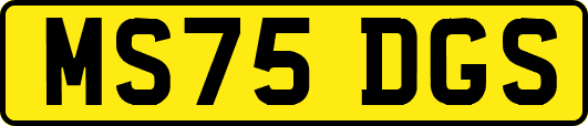 MS75DGS