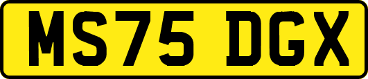MS75DGX