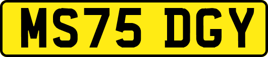 MS75DGY