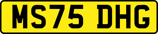 MS75DHG