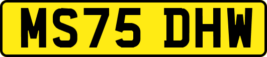 MS75DHW