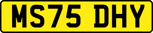MS75DHY