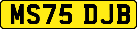 MS75DJB