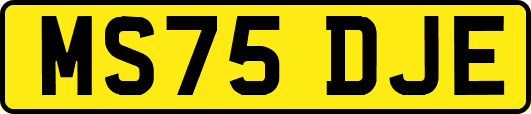 MS75DJE