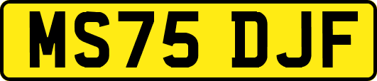 MS75DJF