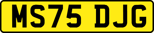 MS75DJG