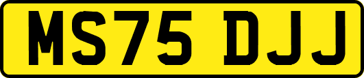 MS75DJJ
