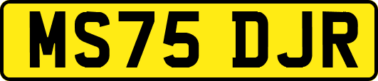 MS75DJR