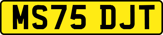 MS75DJT