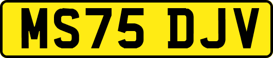 MS75DJV