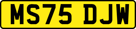 MS75DJW