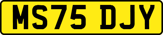MS75DJY