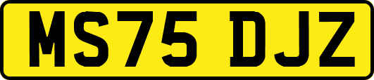 MS75DJZ
