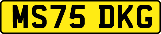 MS75DKG