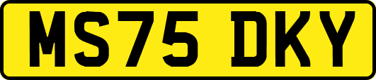 MS75DKY