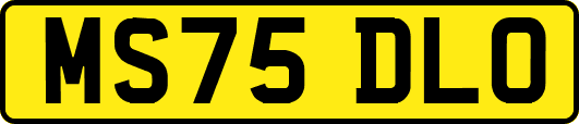 MS75DLO