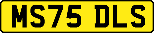 MS75DLS