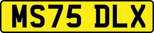 MS75DLX