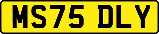 MS75DLY