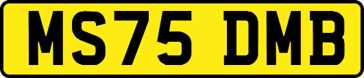 MS75DMB