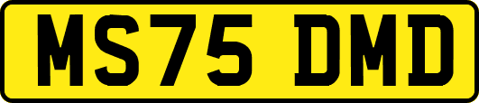 MS75DMD