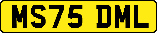 MS75DML