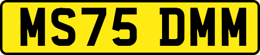 MS75DMM