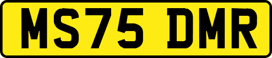 MS75DMR
