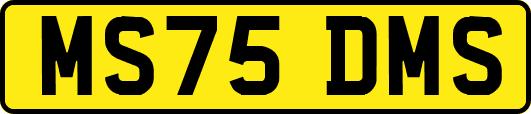MS75DMS