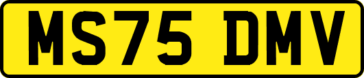 MS75DMV