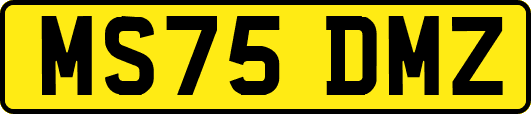 MS75DMZ