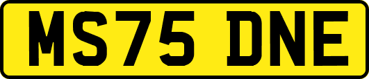 MS75DNE