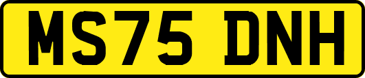 MS75DNH
