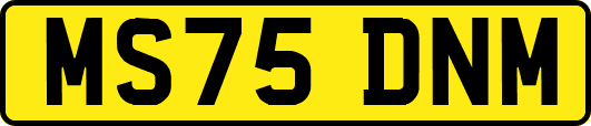 MS75DNM