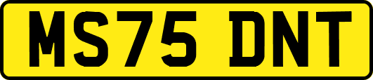 MS75DNT