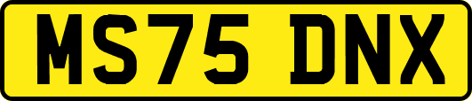MS75DNX