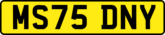 MS75DNY