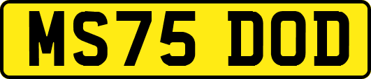 MS75DOD