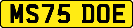 MS75DOE
