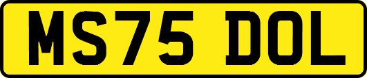 MS75DOL