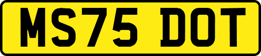MS75DOT