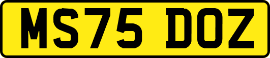 MS75DOZ