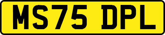 MS75DPL