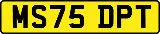 MS75DPT