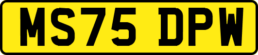 MS75DPW