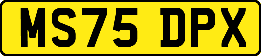 MS75DPX